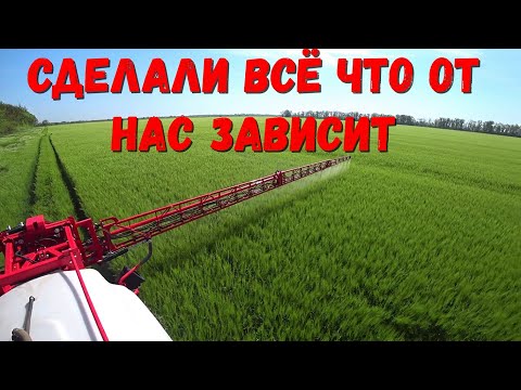 Видео: Работаем по ячменю Фунгицидом+Инсектицид, K-Гумат-Na/