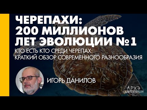 Видео: Игорь Данилов: "Кто есть кто среди черепах: краткий обзор современного разнообразия"