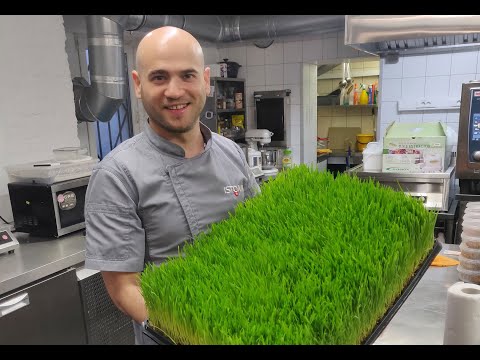 Видео: Отжимаем сок из ростков пшеницы, #витграсс