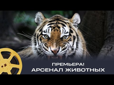 Видео: ПРЕМЬЕРА! Арсенал животных // Документальный проект (Чехия, США)