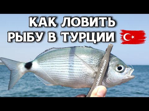 Видео: Как ловить рыбу в Турции. Показываю 2 способа. Окатило волной до пояса. Это место кишит рыбой.