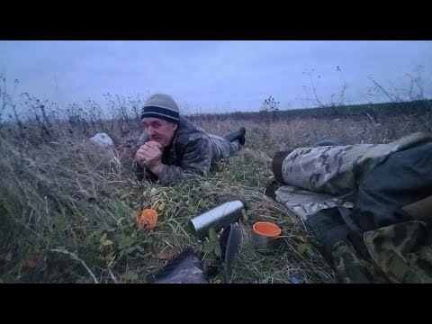 Видео: Шикарная Русская Осенняя Охота 2022 по Чернотропу. Состоялась на отлично👍