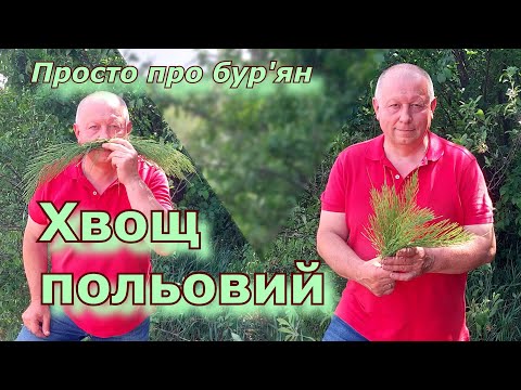 Видео: Хвощ польовий. Просто про бур'ян.