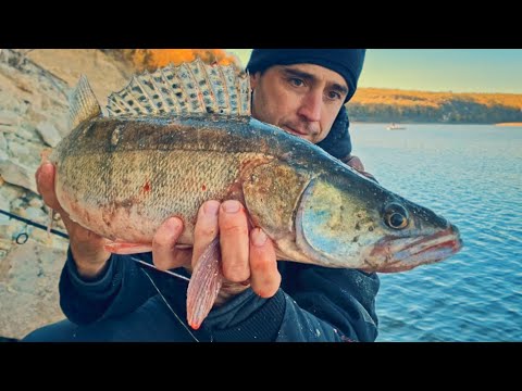 Видео: Бели риби на джиг от брега. Въдица и примамки