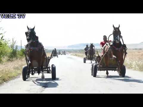 Видео: Състезание с Коне 1-номер-Нури
