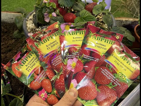 Видео: Консультант Садовода на Усадьбе №2