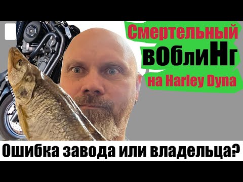 Видео: Смертельный воблинг на Harley Dyna.Ошибка завода или владельца?