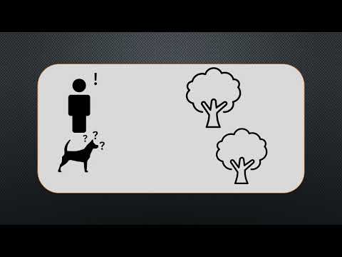 Видео: Часть I - Явление и сущность | Как работает мышление