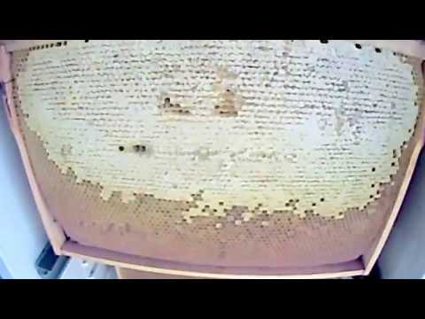 Видео: декристаллизатор рамок из старого холодильника