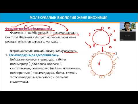 Видео: Фермент иммобилизациясы. ҰБТ биология