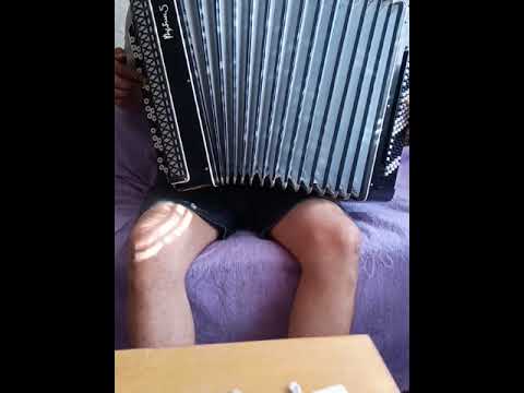 Видео: Akkordeon Bayan Rubin 5 button accordion рубин 5 sale