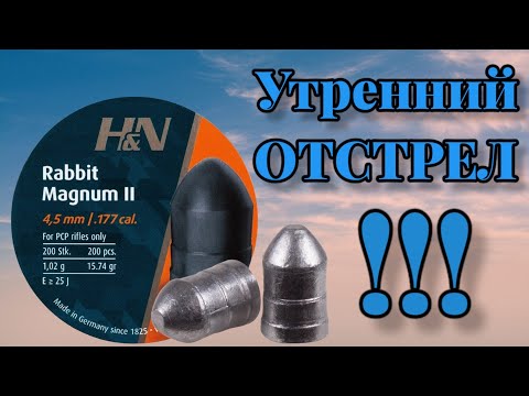 Видео: Пули H&N Rabbit Magnum 2 утренний отстрел!