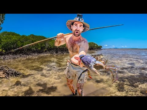 Видео: Выживание за счет собираемой кустарниковой пищи на суровом побережье