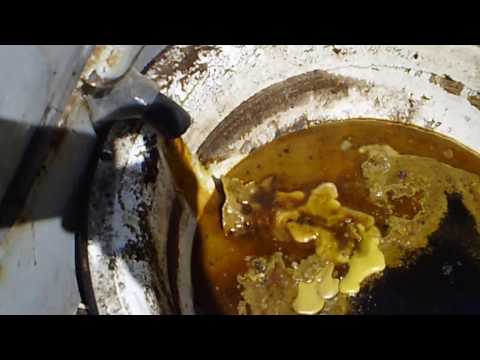 Видео: как вытопить воск из мервы самый эффективный способ и минимум затрат