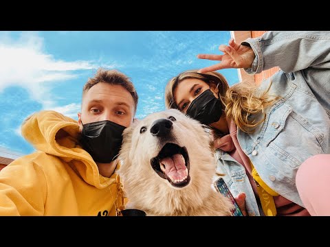 Видео: СПАСАЕМ СОБАКУ. МОЯ САМОИЗОЛЯЦИЯ: ТРЕНИРОВКА, РАЗБОР ГАРДЕРОБА И УЖИН