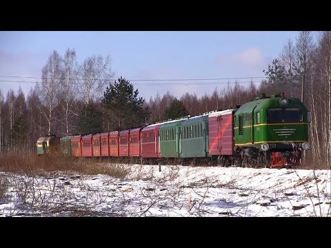 Видео: Узкоколейная железная дорога ТУ2-131 и ТУ2-076 / Narrow gauge railway TU2-131 and TU2-076