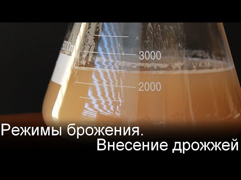 Видео: Режимы брожения в домашних условиях. Внесение дрожжей