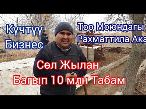 Видео: Сөөл Жылан Багып Айына Млн Табам Кирешелүү Бизнес 👍