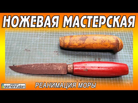Видео: РЕАНИМАЦИЯ МОРЫ @skimenruslan