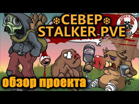 Видео: DayZ - ❄СЕВЕР❄ STALKER PVE С ЭЛЕМЕНТАМИ ROLEPLAY Обзор проекта !! 4-часть