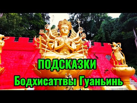 Видео: ПОДСКАЗКИ Бодхисаттвы Гуаньинь
