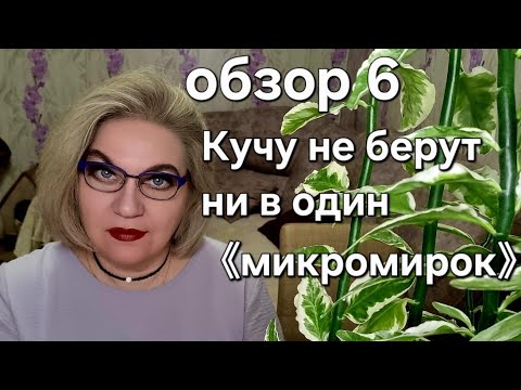 Видео: Кучу не берут ни в один 《микромирок》