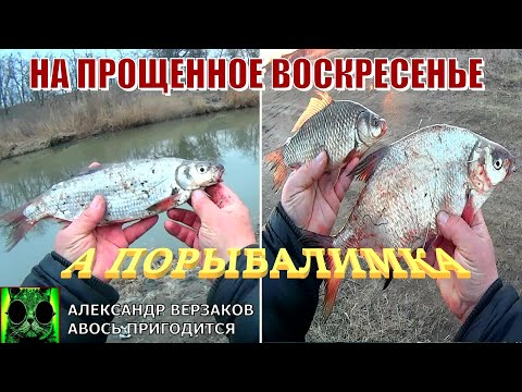 Видео: А порыбалимка 8/21г. На Прощенное воскресенье.