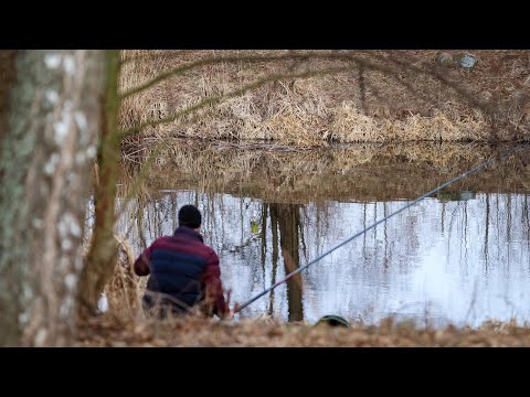 Видео: Я думав в АТБ людей Багато,але помилився.Карась ловиться тільки Мішками