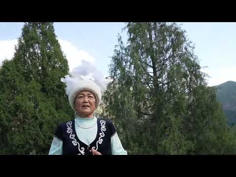 Видео: Курбулар