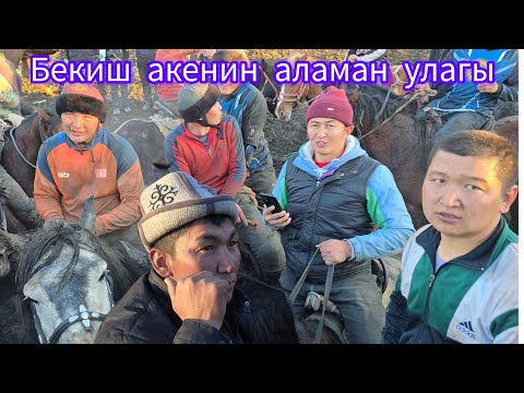 Видео: 4 декабря Көк.Алма Аламан улак