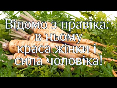 Видео: Відомо з правіка: в ньому краса жінки і сила чоловіка!