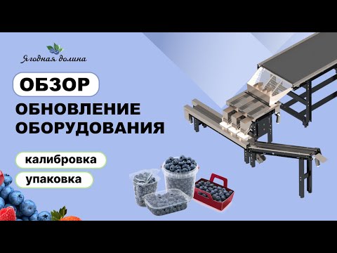 Видео: Обновление линейки оборудования для калибровки и упаковки ягод