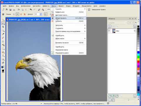 Видео: Уроки Corel PHOTO-PAINT: создание растровой маски