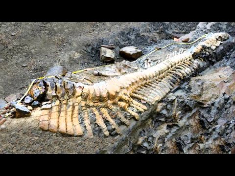 Видео: Вы Должны Увидеть, Чтобы Поверить! Артефакт из Будущего, Который Поразил Ученых