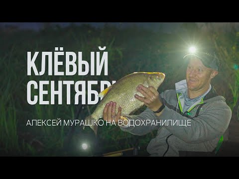 Видео: Ловля леща фидером в сентябре! Летняя тактика осенью на Гродненском водохранилище