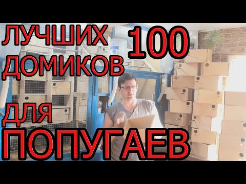 Видео: Разведение волнистых попугаев. Обзор питомника для птиц