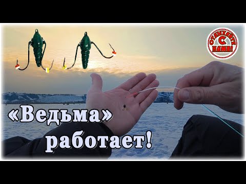 Видео: Проверил новую для себя безмотылку. Рыбка реагирует. Глухозимье 2025.