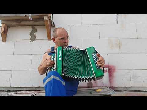 Видео: Гармонь фа мажор. Ссылка в комментарии.