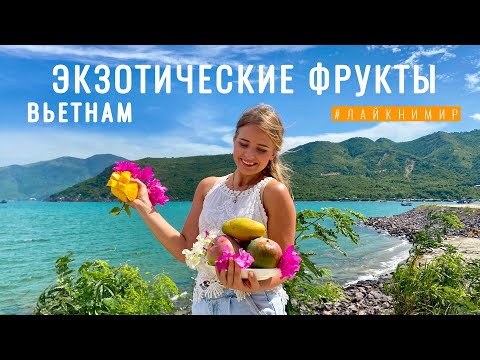 Видео: Вьетнам. ЭКЗОТИЧЕСКИЕ ФРУКТЫ. Детальный обзор тропических фруктов! Обзор и дегустация! Вьетнам 2022