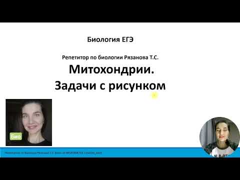 Видео: Митохондрии. Задачи