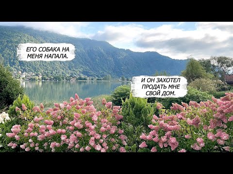 Видео: Его собака на меня напала и он захотел продать мне дом.