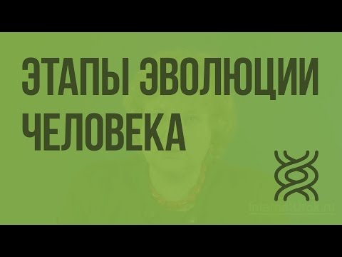 Видео: Этапы эволюции человека. Видеоурок по биологии 9 класс