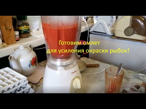 Видео: Готовим омлет для покраски рыб!