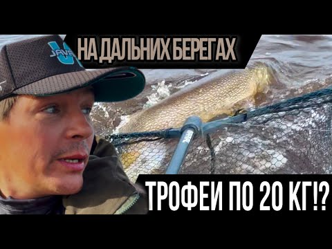 Видео: НА ДАЛЬНИХ БЕРЕГАХ. ЩУКИ ПО 20 кг НЕ ВЛАЗЯТ В ПОДСАК! ТРОФЕЙНАЯ РЫБАЛКА С НОЧЁВКОЙ. 2я часть.