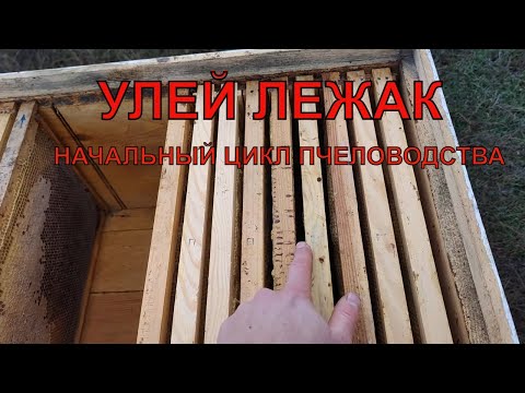 Видео: УЛЕЙ ЛЕЖАК как с ним работать пчеловодство для начинающего 💡🐝✅