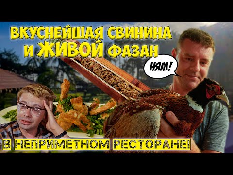 Видео: Обзор ресторана Quán Nứa Фазан из клетки на тарелку!