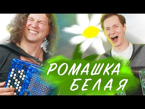 Видео: ВОТ ЭТО ВАМ ДУЭТ))) БАРДИН и АРЛАМОВ! Ромашка белая.