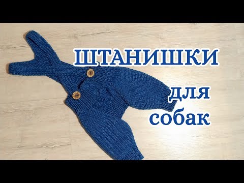 Видео: Штанишки для собак спицами, Dog pants