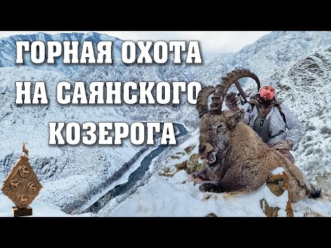 Видео: Горная охота на Саянского козерога. Mountain hunting for Sayan ibex