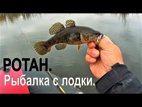Видео: Ротан Рыбалка с лодки. Ротан на поплавок и бортовую удочку.
